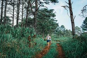 BIB: 
                            <button type="button" onclick="openModal(25653421)" class="btn btn-primary btn-sm float-right btn-popup" data-toggle="modal" data-target=".modal-high-quality">
                        <i class="fas fa-shopping-cart"></i> Add to Cart
                    </button>
                                            <button type="button" onclick="isThisMe(25653421, true)" class="btn btn-success btn-sm float-right btn-popup btn-isme hidden" data-toggle="tooltip" data-placement="bottom" title="นี่คือรูปของคุณใช่ไหม คลิกที่นี่เพื่อเอาเข้าอัลบั้ม">
                        <i class="fas fa-plus"></i> Add to album
                    </button>
                    <button type="button" onclick="isThisMe(25653421, false)" class="btn btn-warning btn-sm float-right btn-popup btn-isnotme hidden">
                        <i class="fas fa-ban"></i> Remove from album
                    </button>